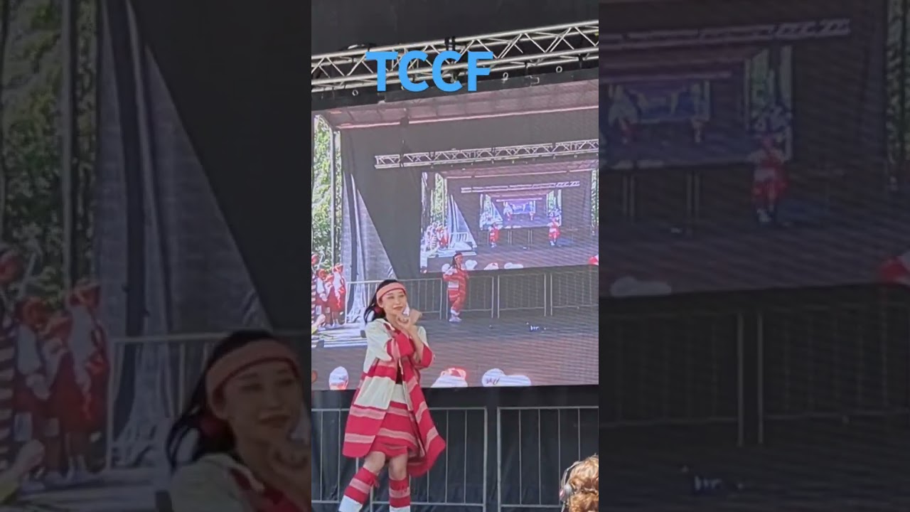 Taiwanese Canadian Culture Festival 