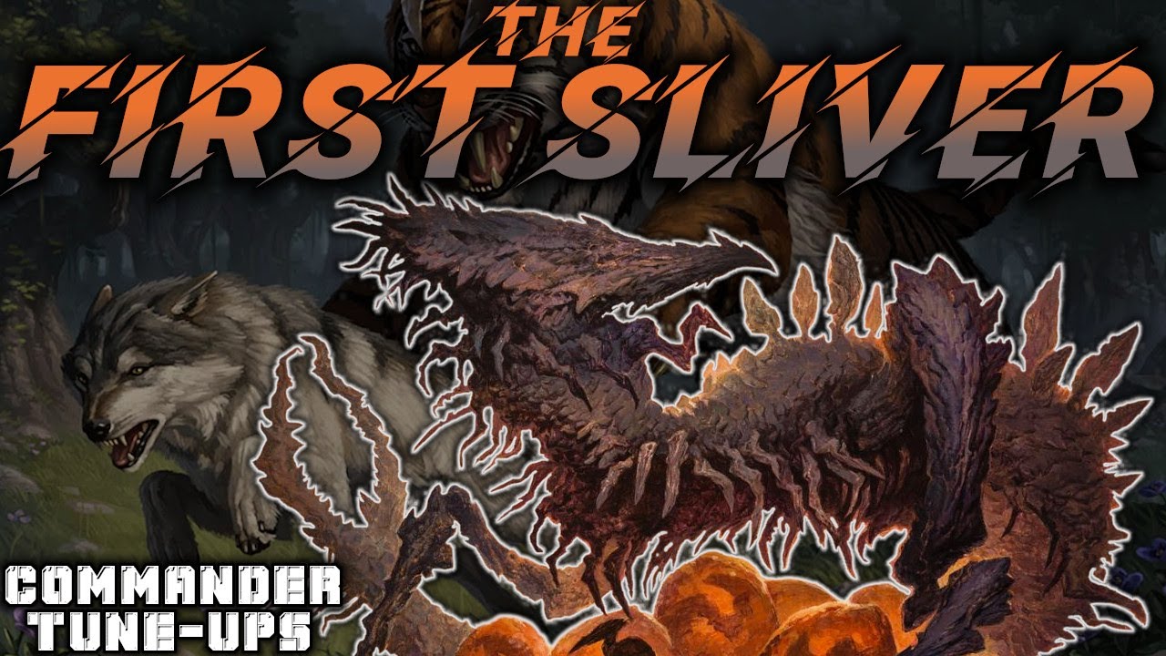 The First Sliver: Food Chain cEDH | Commander Tune-Ups #50