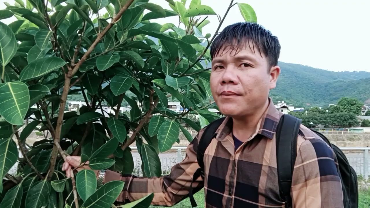 Lò khiêm kể chuyện nối lâu chong lòng 💔