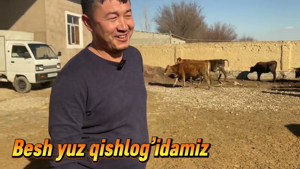 Jizzax viloyati Zomin tumanida tanalar va g‘unajinlar arzon narxda.