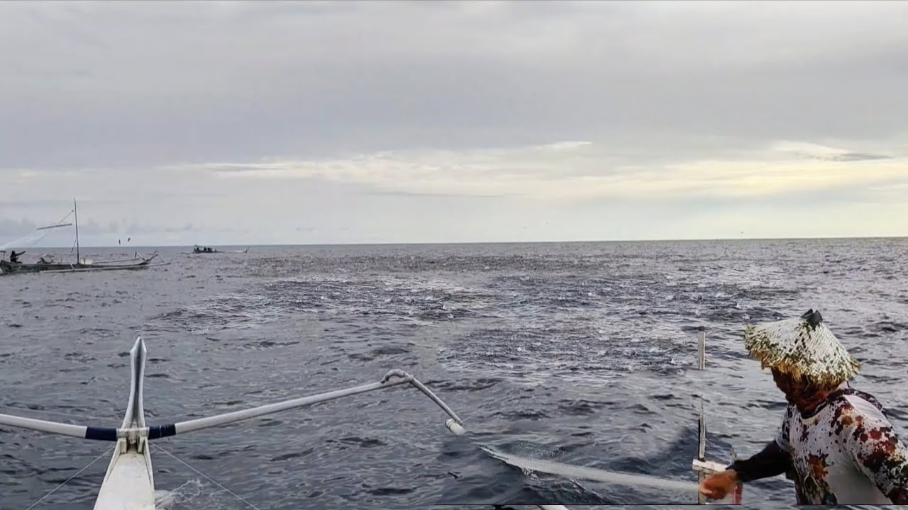 Ikan cakalangnya tiba-tiba mendidih. Berburu menggunakan jaring