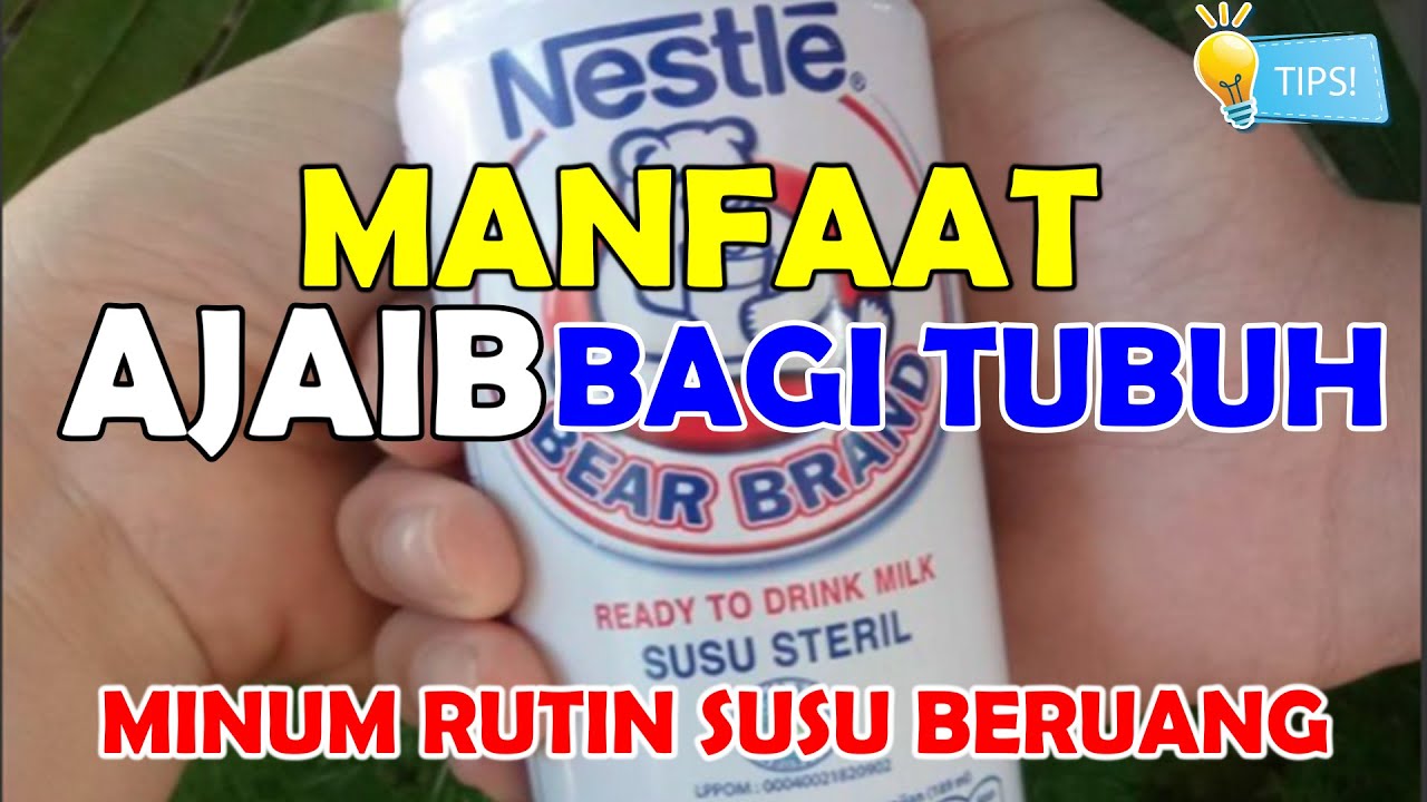 MANFAAT SUSU BERUANG YANG JARANG DI KETAHUI ORANG | KASIAT AJAIB SUSU BEAR BRAND | TIPS HIDUP SEHAT