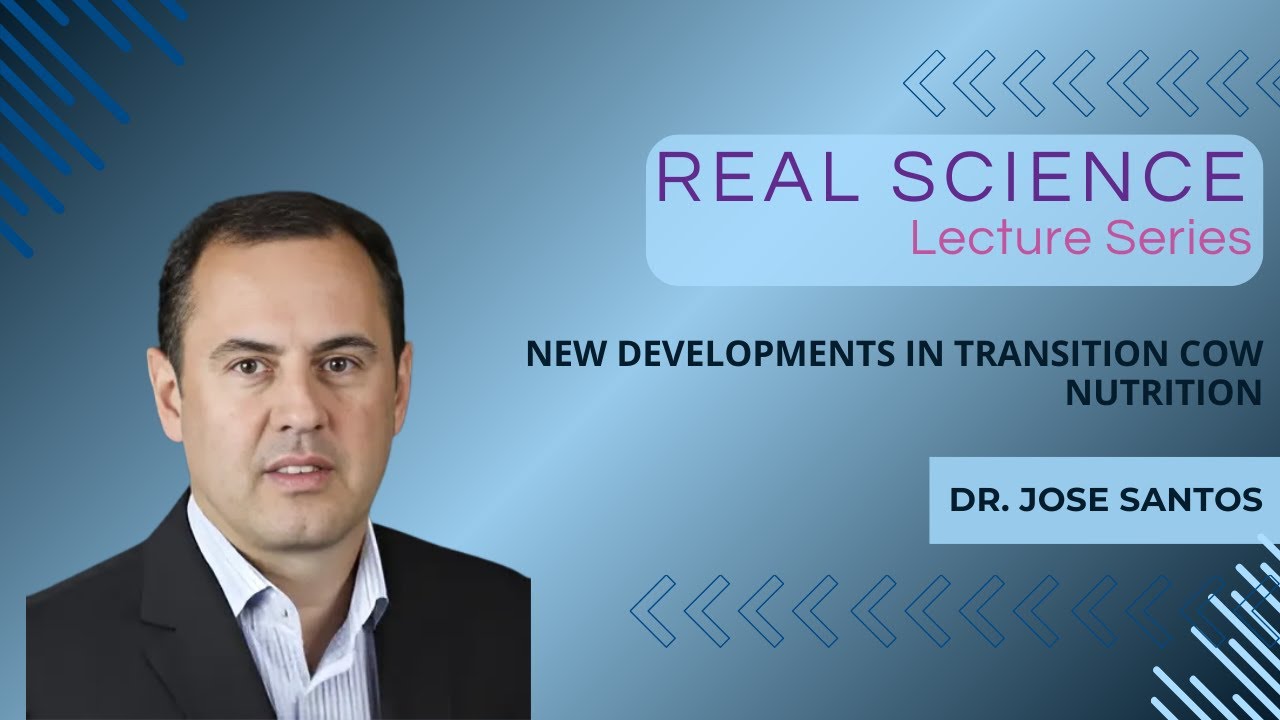 New Developments in Transition Cow Nutrition with Dr. Jose Santos: EMEA