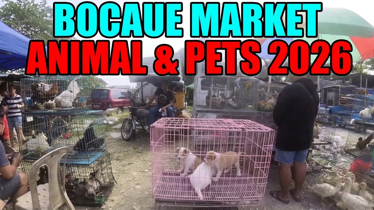 BOCAUE FRIDAY MARKET 2026