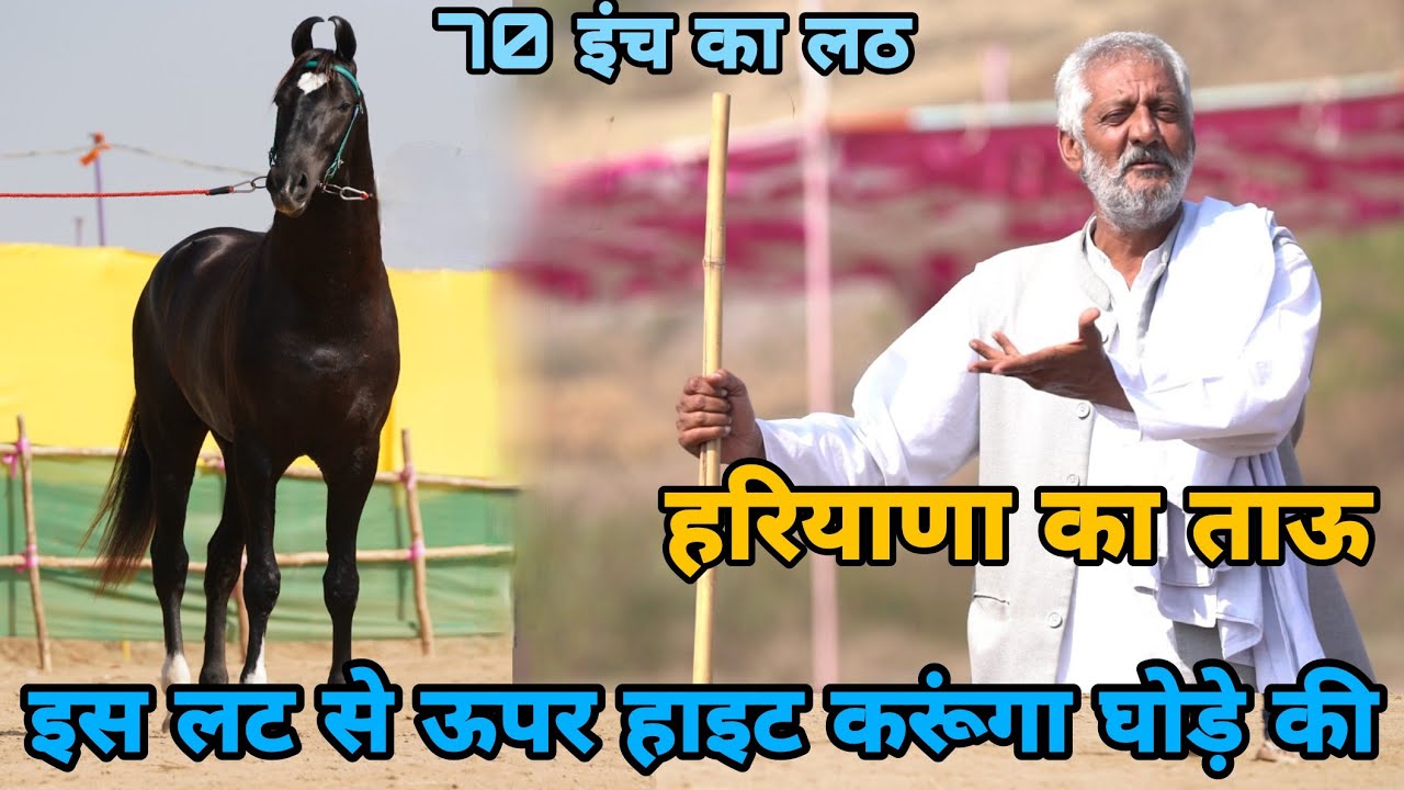 हरियाणा के ताऊ ने गाढ़ा सारंगखेड़ा मे लठ बुर्ज खलीफा के साथ 😍😍