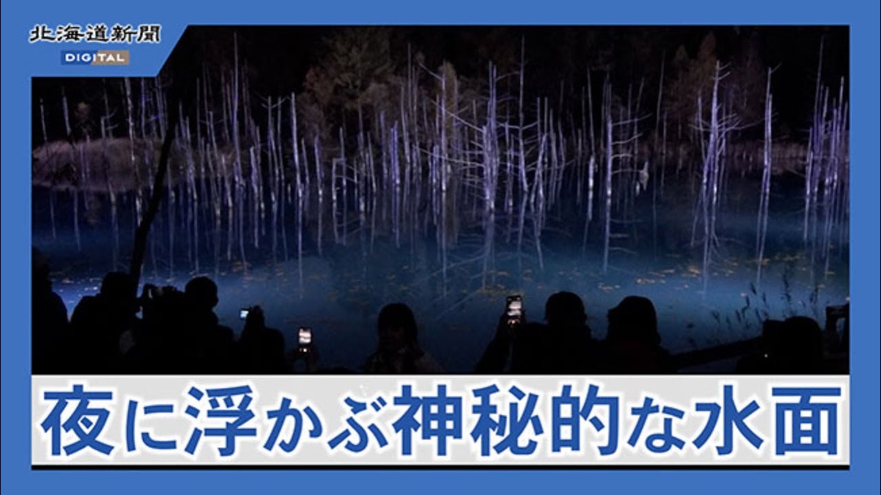 美瑛の青い池ライトアップスタート