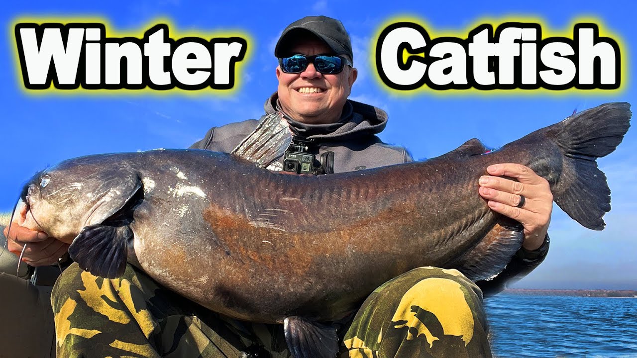 Lake Record Catfish
