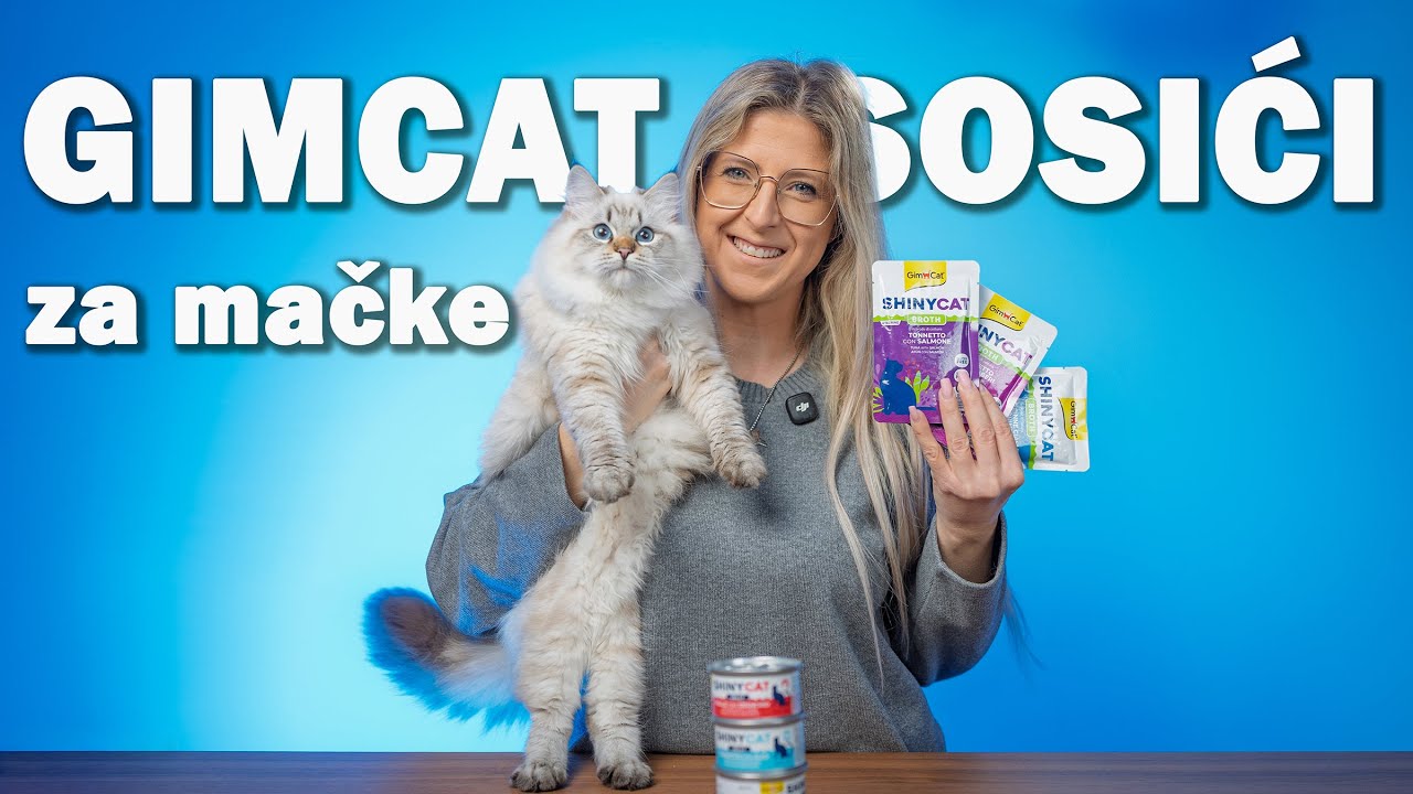 Da li će moje mačke ovo voleti? - Gimcat vlažna hrana