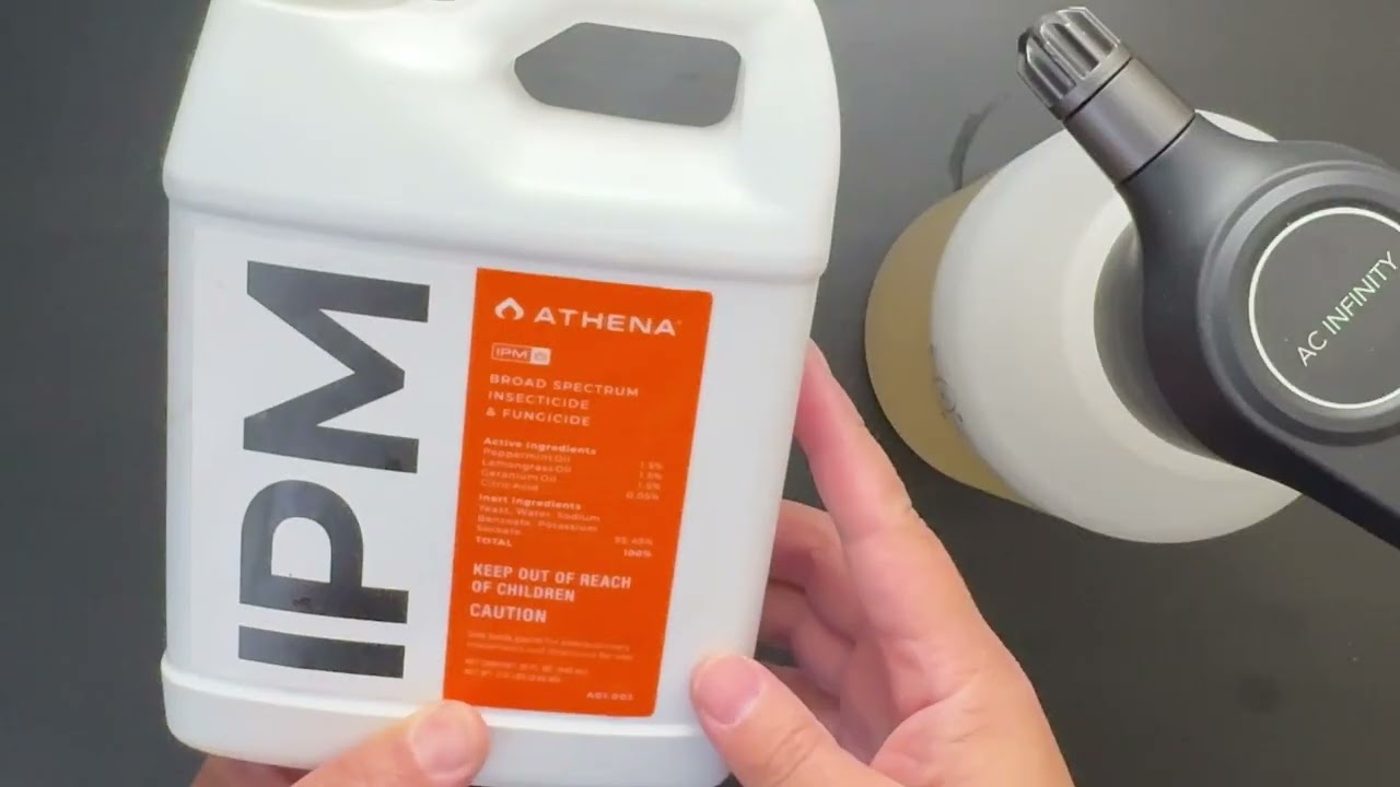 Using IPM as a Natural Pest Control Solution