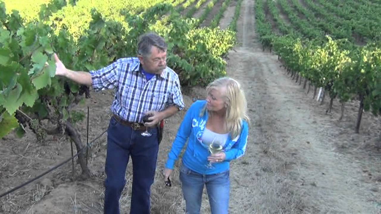 Intrigue Feature: J. Rickards Winery