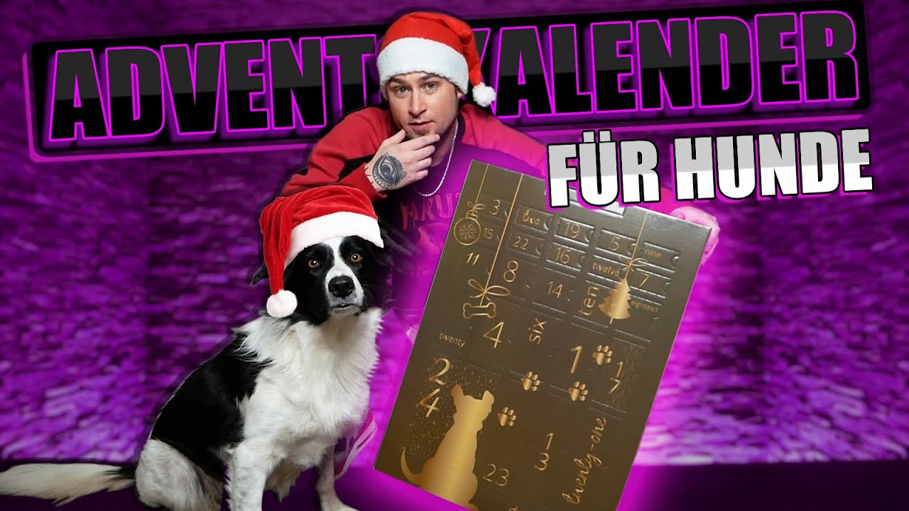 ADVENTSKALENDER für HUNDE von DOGBRANDS | UNBOXING 2020