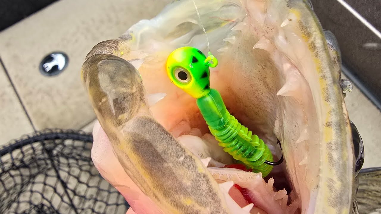 WALLEYE PLASTICS!! Quick and Dirty Comparison - SHOP TALK!