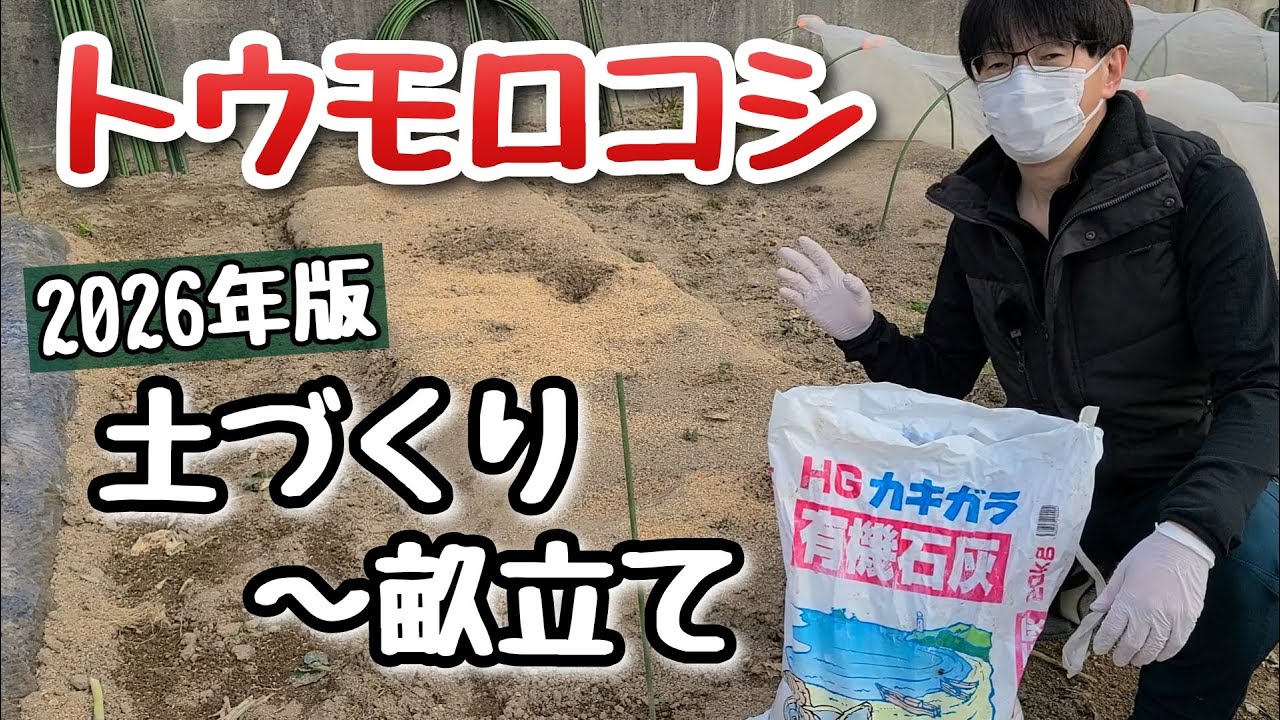 【トウモロコシ】米ぬかとモミガラで土づくり～2026改良版～