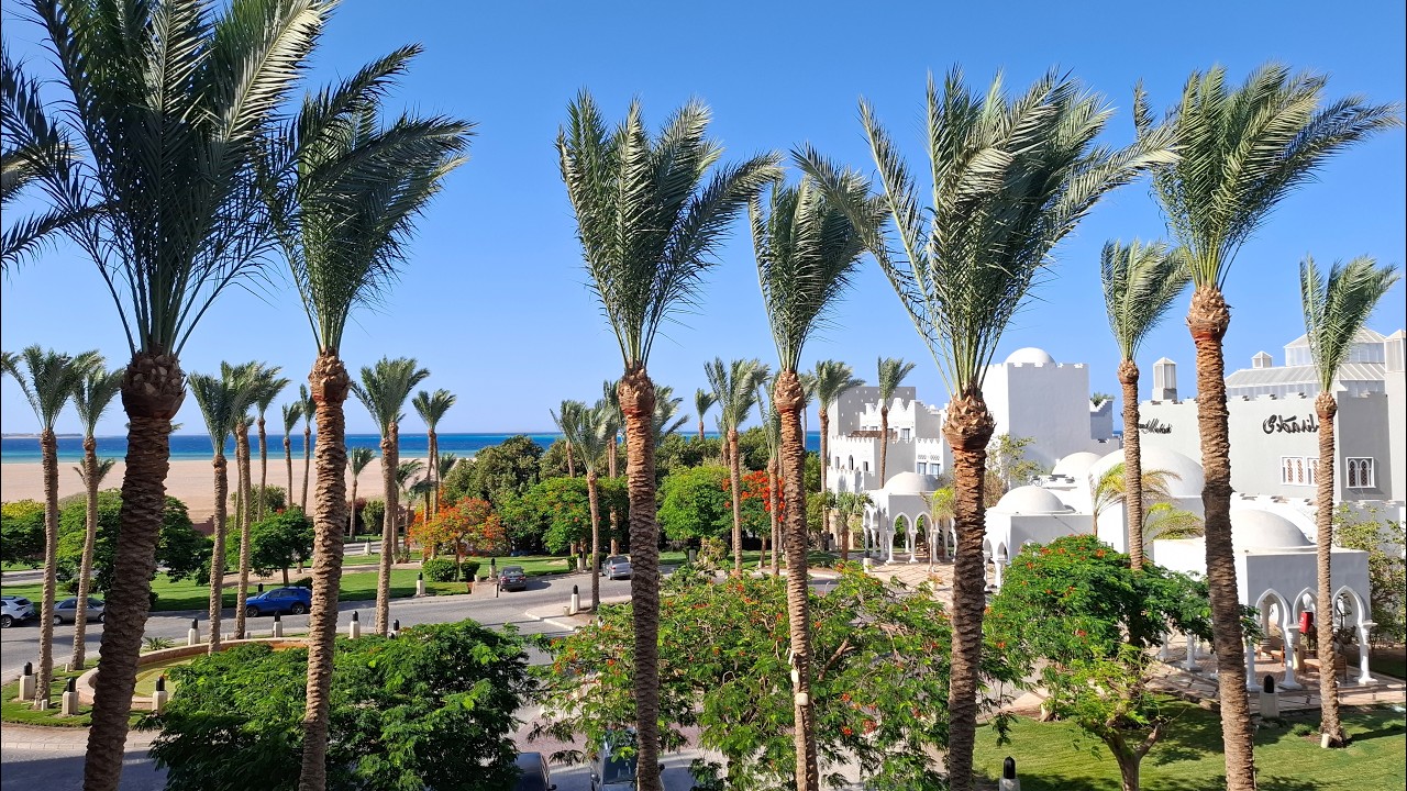 Rafa koralowa z mola Hotelu Grand Makadi - Coral Reef 4K Red Sea Makadi Bay Egipt