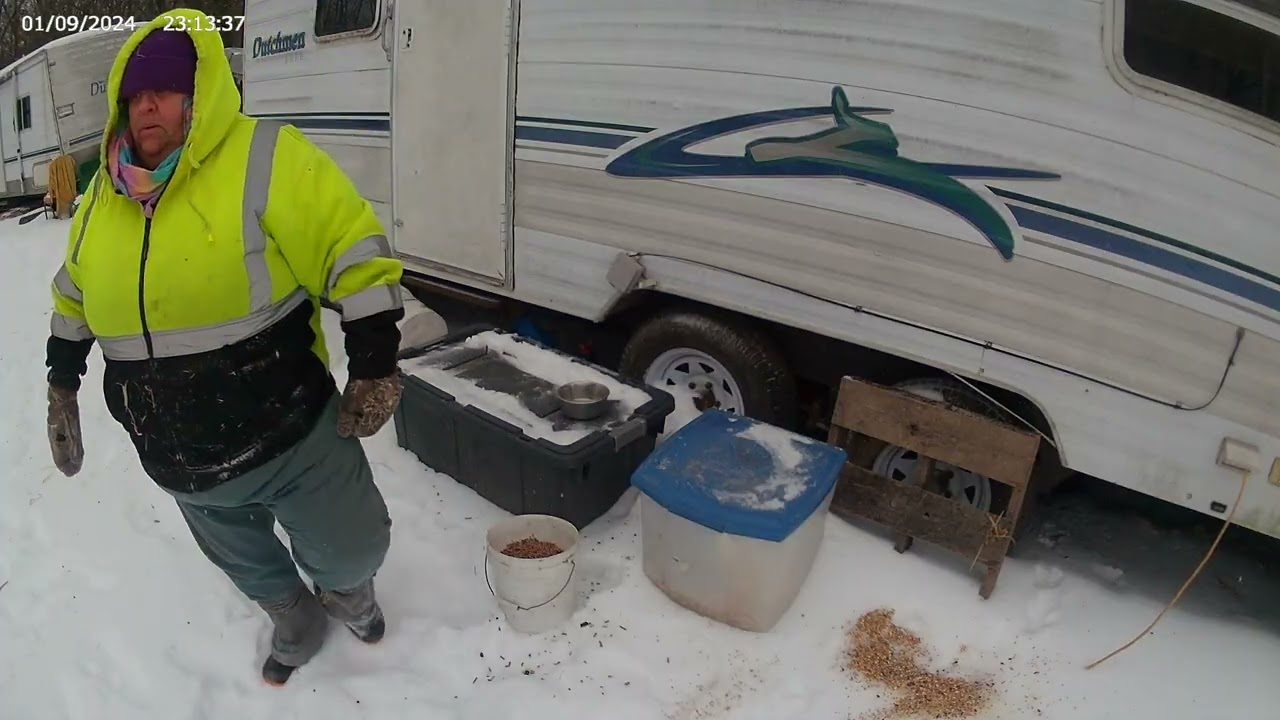 snow daze feeding 2 Silent