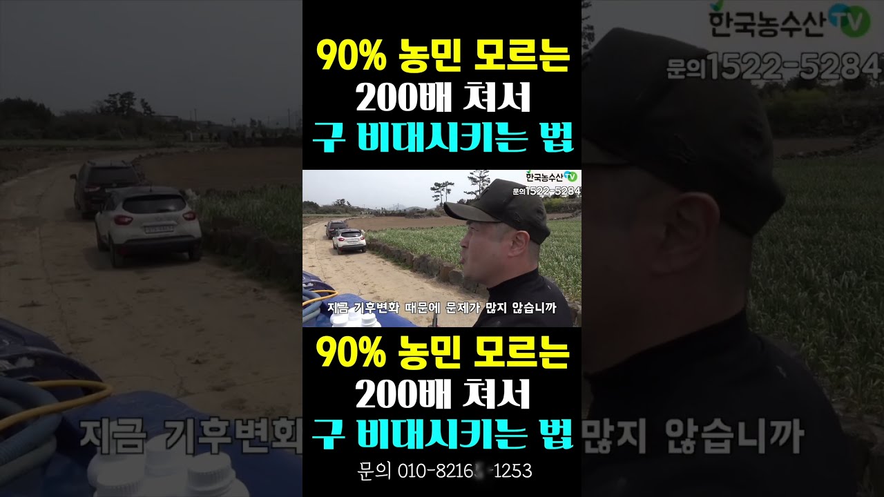 [한국농수산TV] 농민이 모르는, 200배 쳐서... 구 비대시켜 수확량 늘리는 법