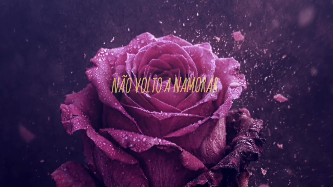 Djizas Marrony - Não volto A namorar ( áudio oficial)