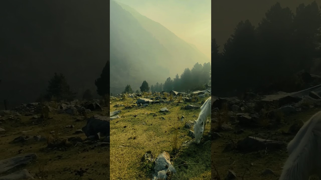 The Allure of Natural Landscapes #4k #hdr #travel #dolbyvision #nature #8khdr