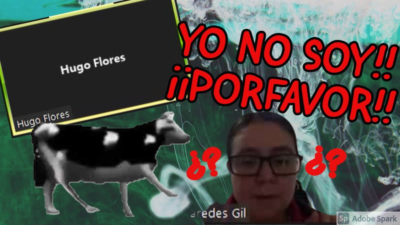 Trolleos en Zoom #11 | Rayando reuniones xD - KevZoom