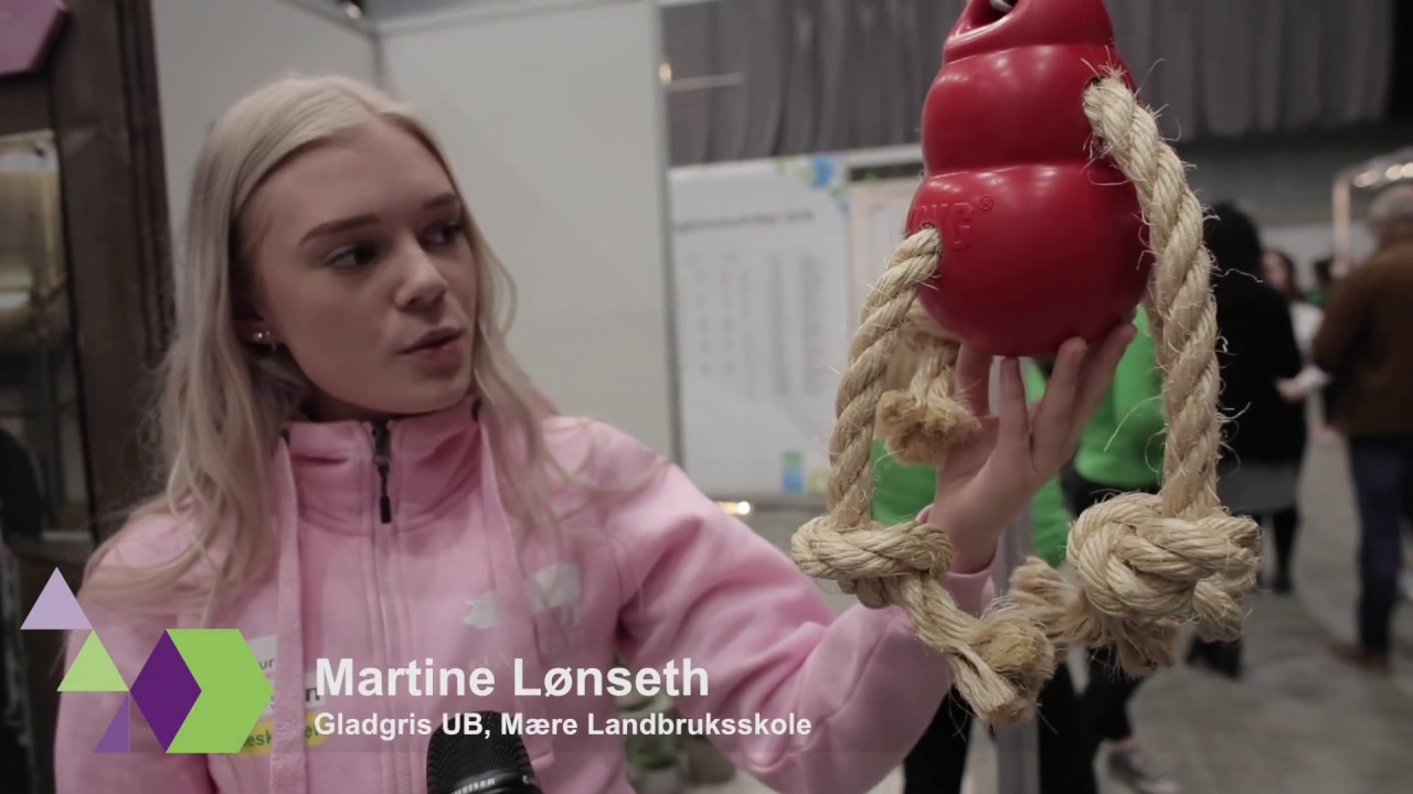 Ungdomsbedrift på Naturbruk, Hilde Følstad