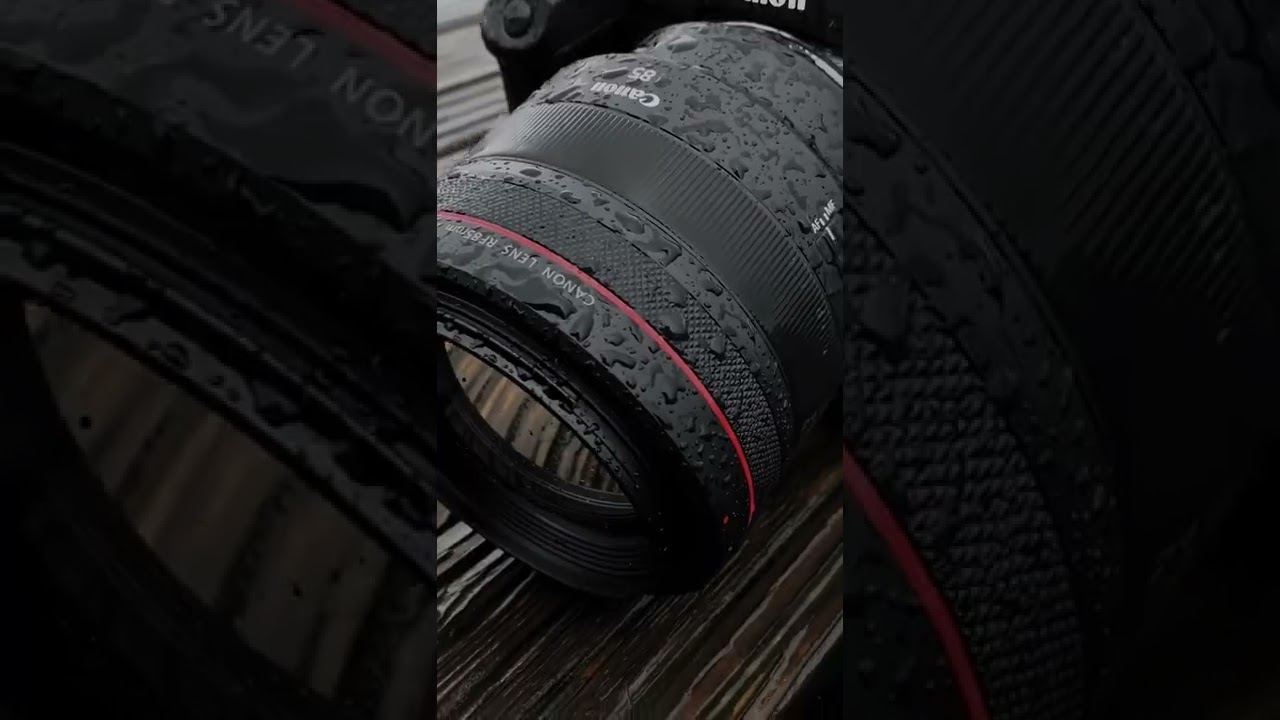 canon users #canonphotography #canon #canonvideography #shortsvideo #shortsyoutube