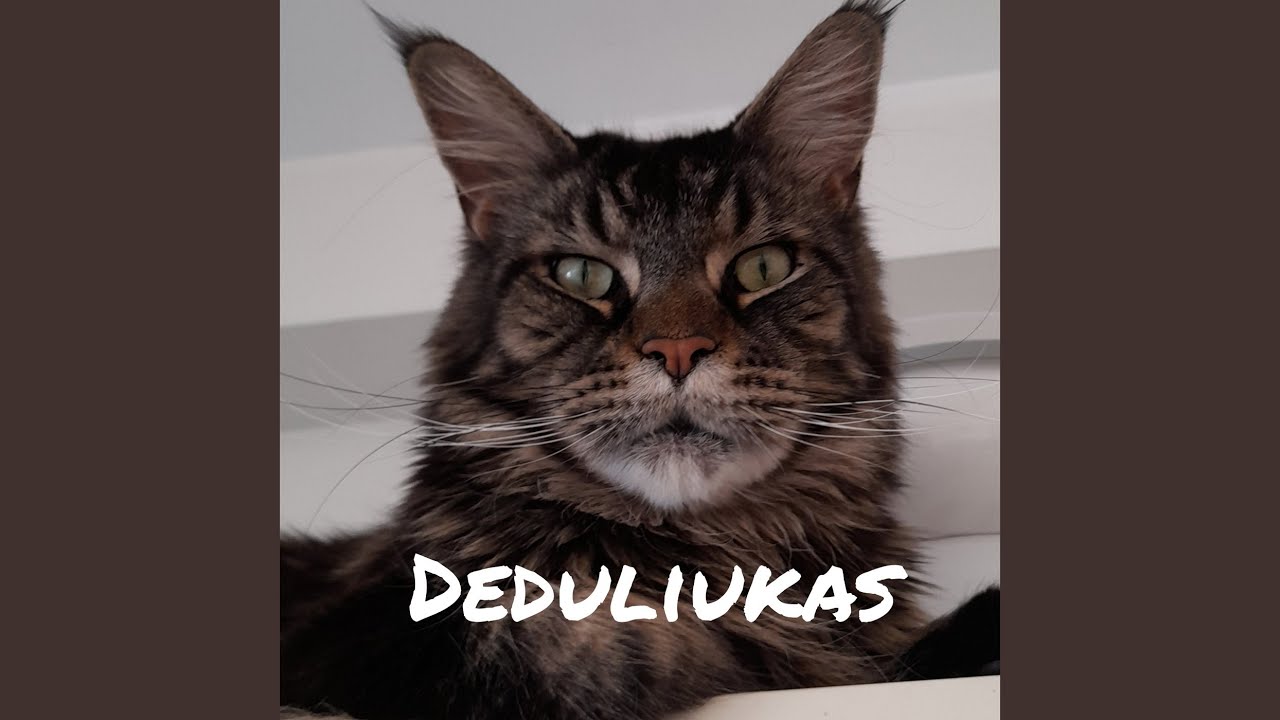 Virusas