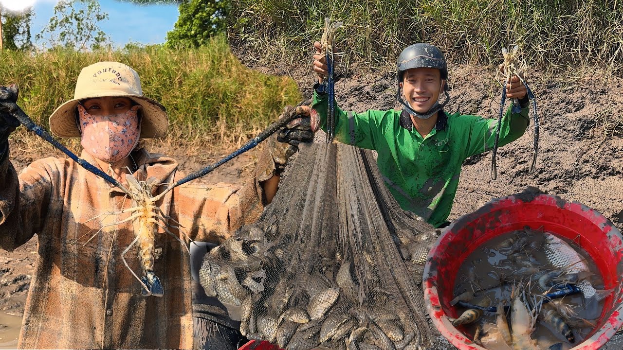 Cá tôm càng khủng loại đầy ao đi bắt không kịp tay | CLN