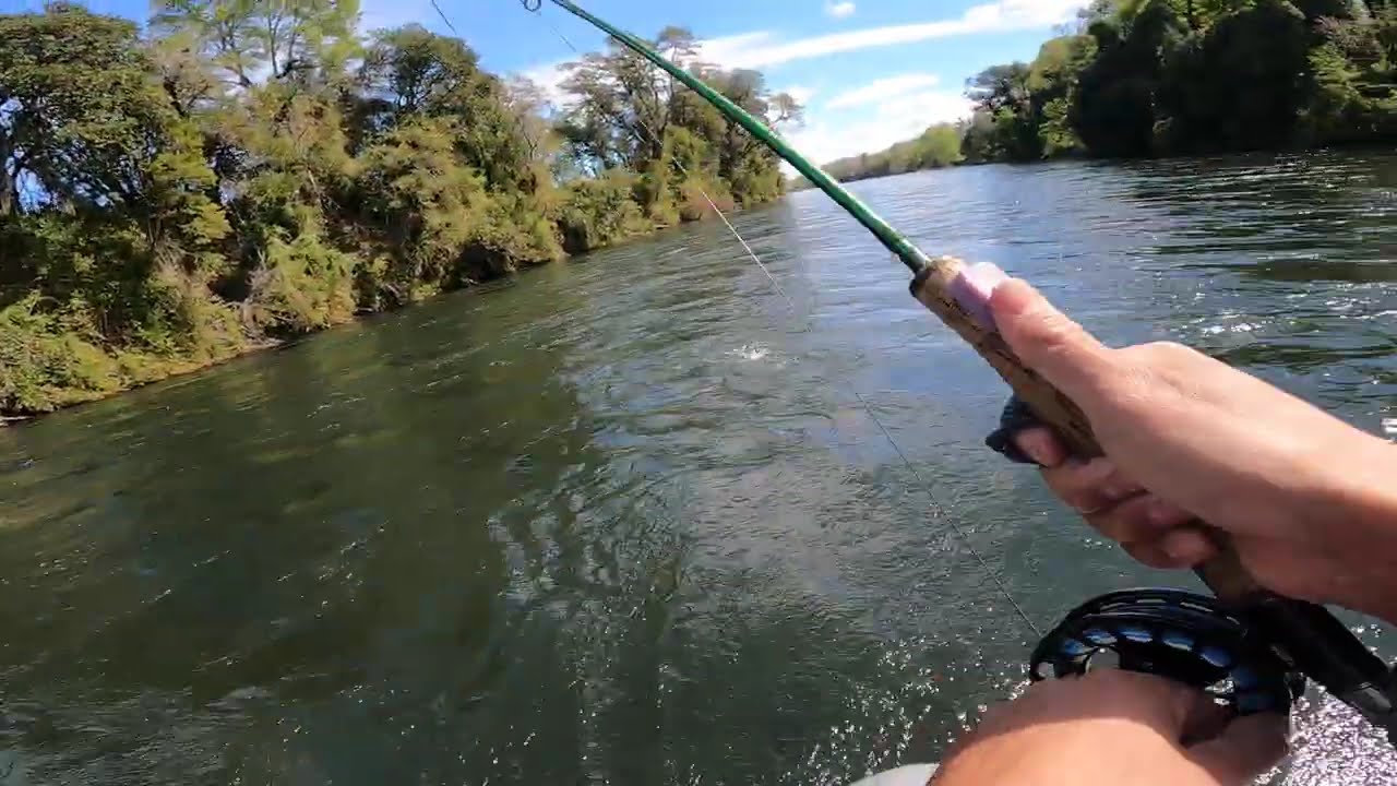 Rio Cautin- Chile