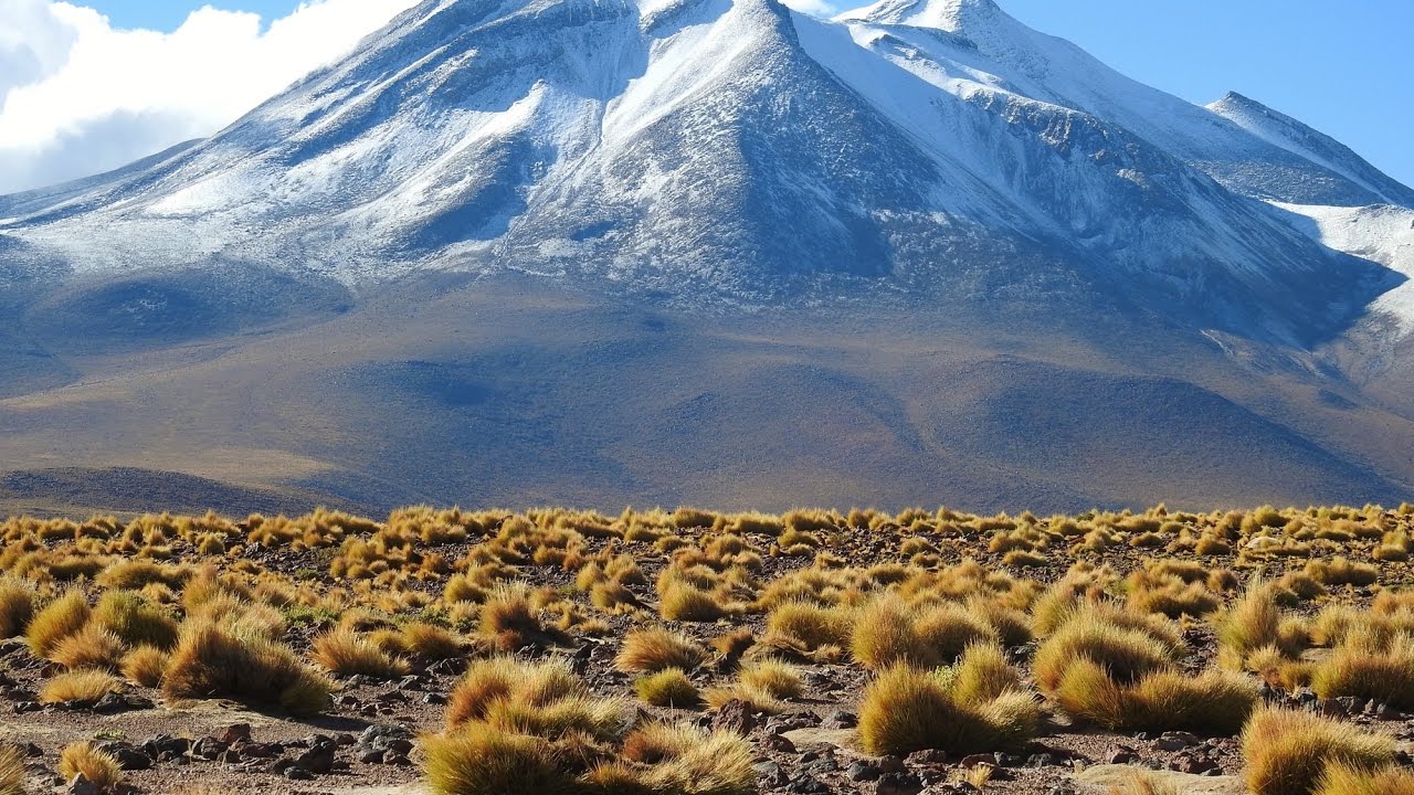 Reserva Los Flamencos-Miscanti & Minuques Lagon into Atacama Desert|TRIP SOUTH AMERICA|