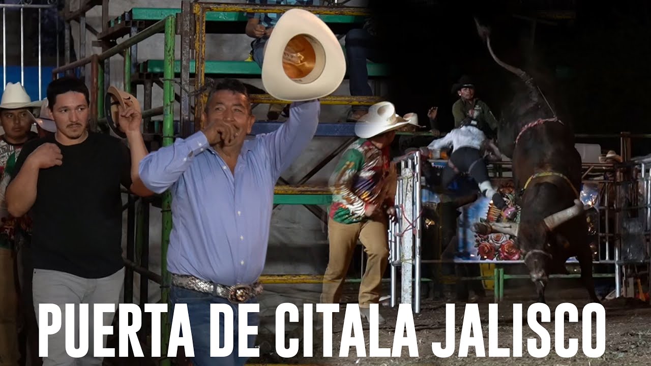 NO PUDIERON CON LOS TOROS | RANCHO LOS TEMIBLES EN PUERTA DE CITALA JALISCO | NO JUGÓ SANGUINARIO