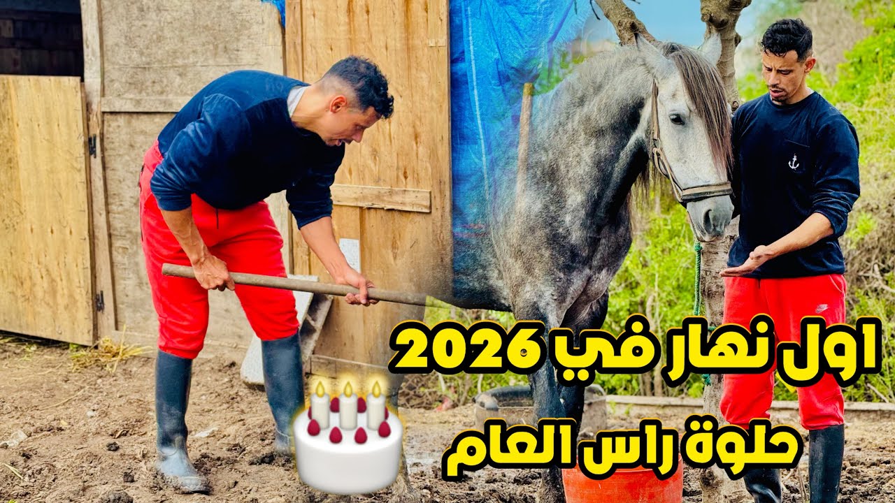 أول نهـار في 2026 مع شفاء حلوة رأس السنة هيا الخدمة