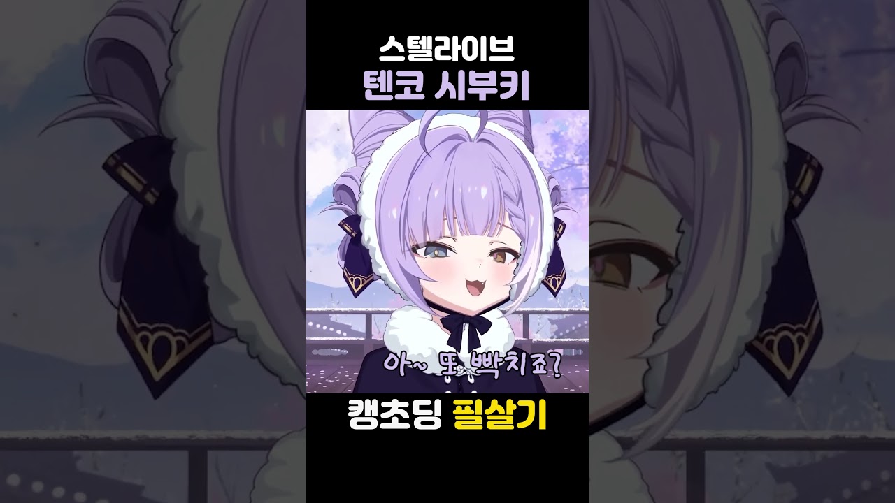 어쩔티비 Full ver. #스텔라이브 #텐코시부키 #대박박