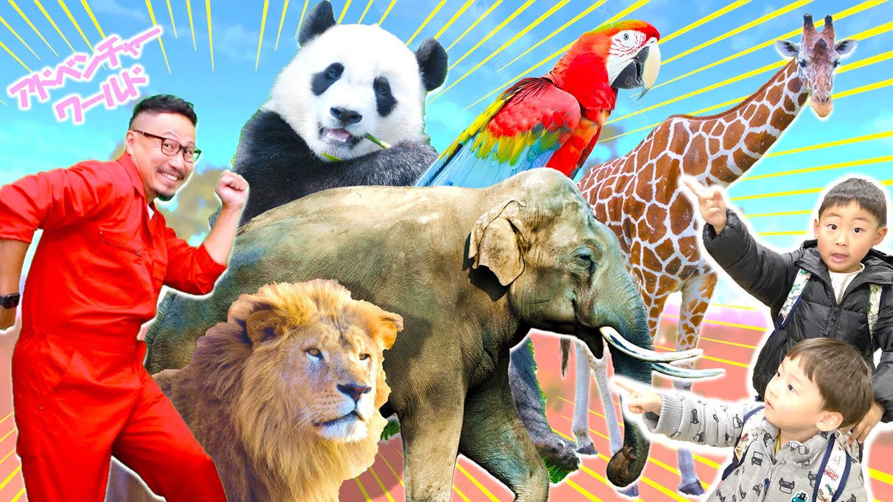 【動物あつまれ〜！】アドベンチャーワールド第二弾！パンダ・ライオン・イルカ・キリン・アフリカゾウ・トラなど、いっぱい登場！