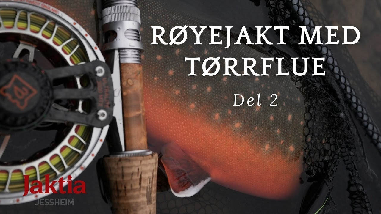 Finnmarksvidda 2023: Stor ørret og røye - Del 2/2