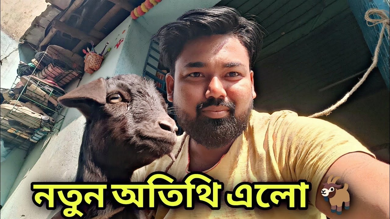 আজ বাড়িতে নতুন অতিথি 🐐 | ছোট্ট ছাগলের বাচ্চা এলো ঘরে | Family Vlog