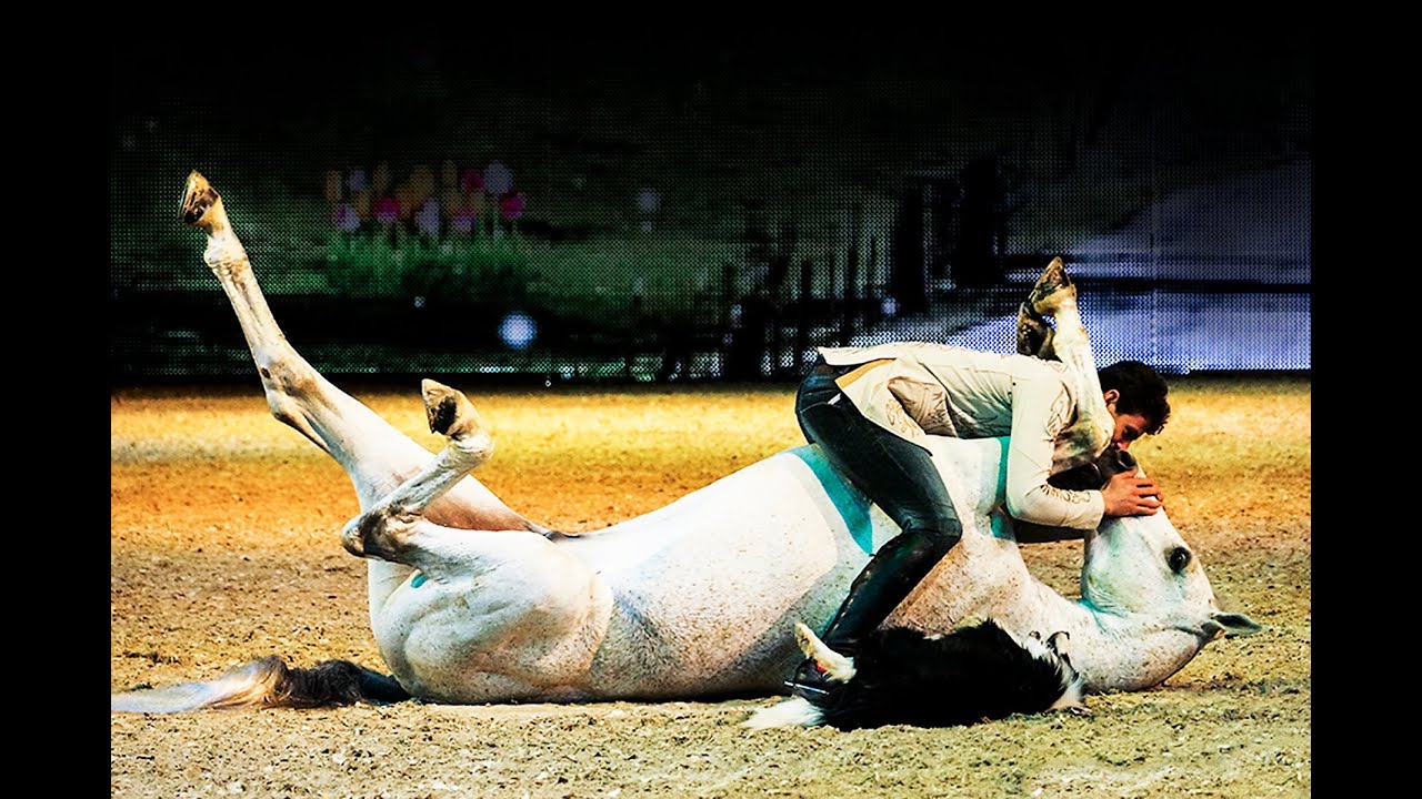 EQUITANA 2015 | ESSEN.onpaper unterwegs