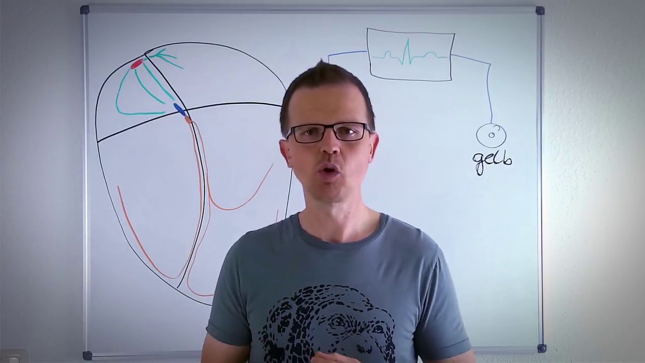 EKG-Lehrstunde: Die Vektorengesetze und ihre Bedeutung für die EKG-Blickdiagnostik