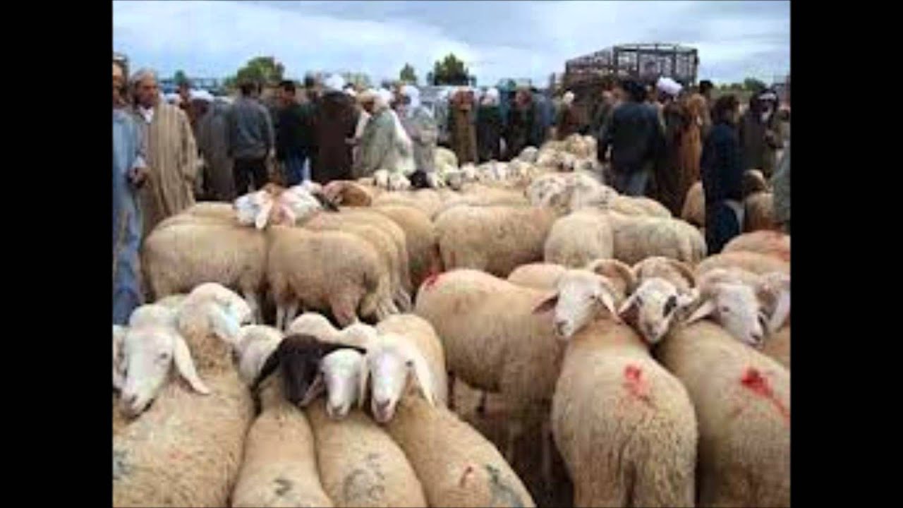 Oulahlou l'étranger