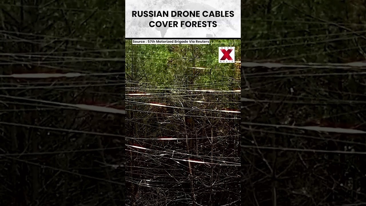 Ukraine Reveals Forests Covered With Russian Drone Cables Near Vovchansk | NewsX World