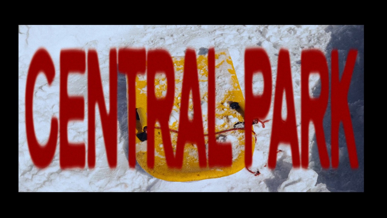 Central Park Blizzard | A Cinematic New York City Study