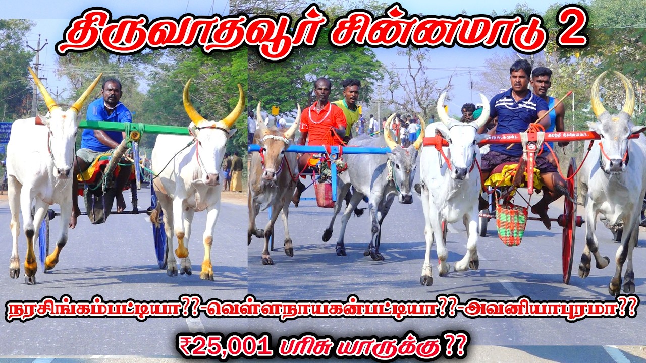 2திருவாதவூர்-சின்னமாடு-பந்தயம்_07.03.2026_V_Photography