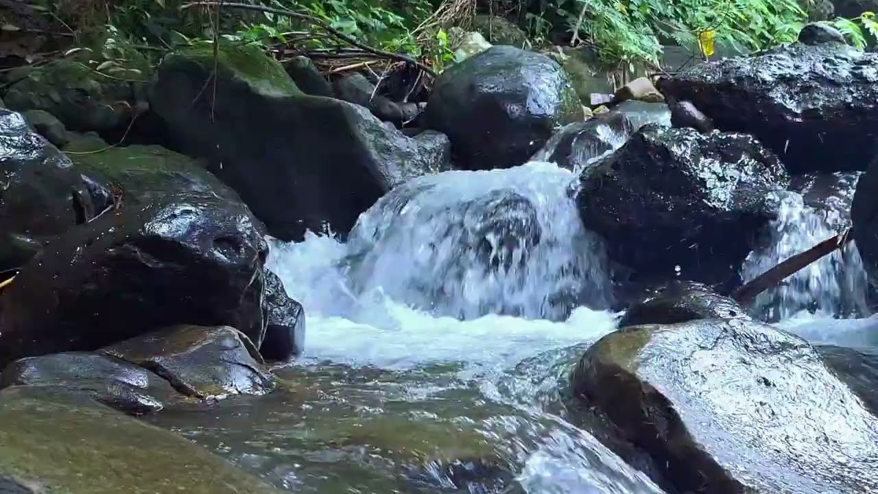 Спокойные звуки реки 🌊 | Природная атмосфера для глубокого сна и расслабления #gemuruhriver