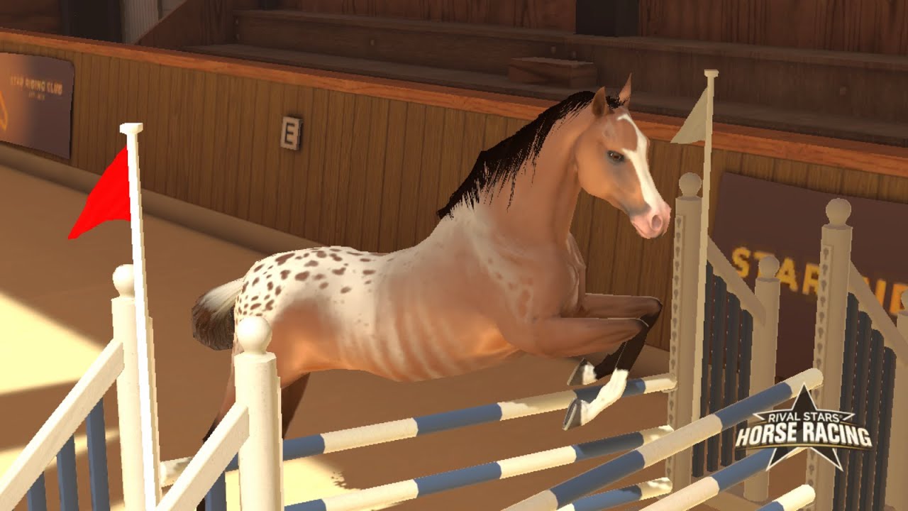 Вывела красивого АРАБА 🌺 Rival Stars Horse Racing