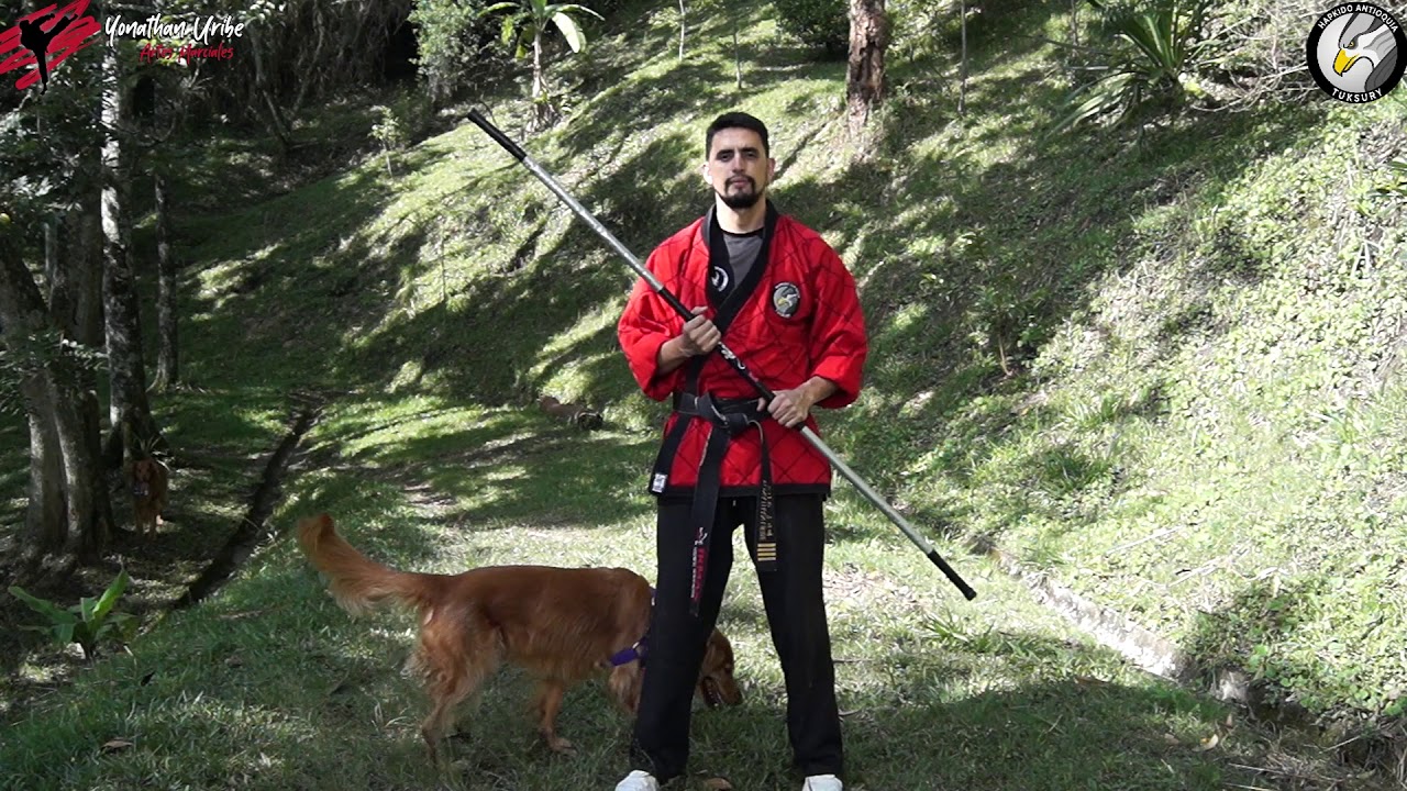 HAPKIDO MEDELLÍN COLOMBIA (Básicos de jang bo 26 a 30)