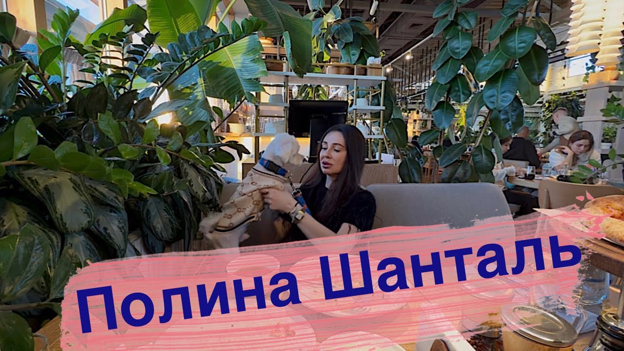 ОТМЕЧАЕМ 8 МАРТА!#8марта#собака#семья#праздник#ресторан#молодость#красота#уход#бьюти#зож#пп#спорт