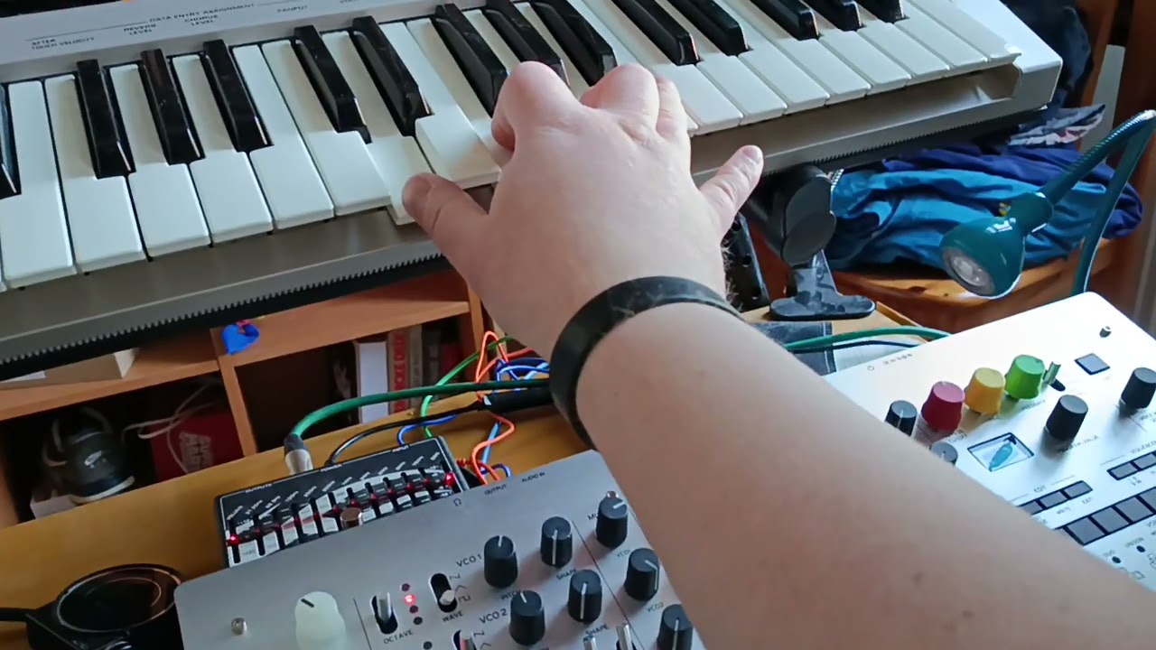 WALDORF PROTEIN, KORG MINILOGUE, ARTURIA MICROBRUTE & ROLAND TR 6S JAM WITHOUT HAM AND DAW, STRINGS