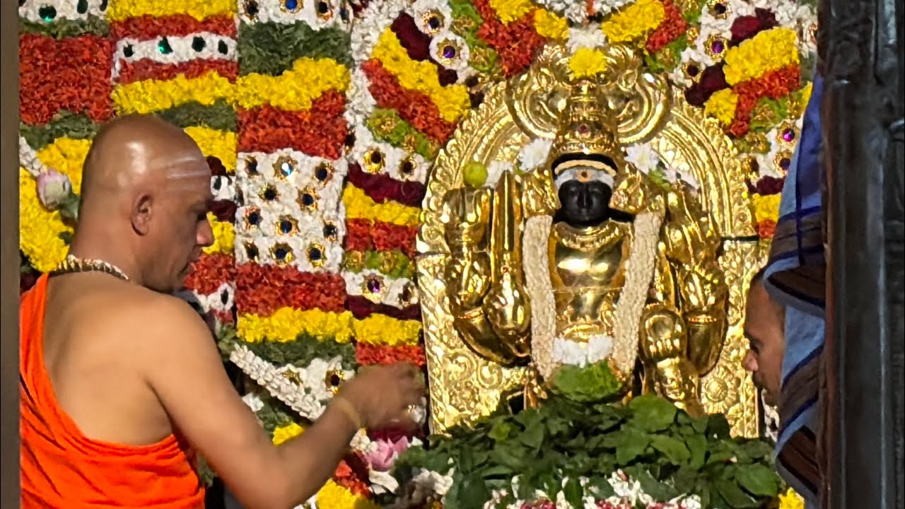 Nirmalanandanatha Mahaswamiji ಜಗದ್ಗುರುಶ್ರೀ ಶ್ರೀ ಶ್ರೀ ಡಾ.ನಿರ್ಮಲಾನಂದನಾಥ ಮಹಾಸ್ವಾಮೀಜಿಯವರ ಅಡ್ಡಪಾಲಕಿ ಉತ್ಸವ