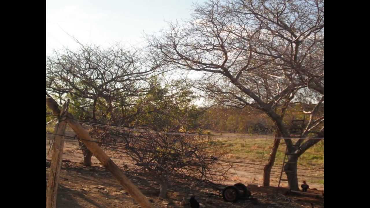 Miragem   Zé Ramalho e Alcymar Monteiro