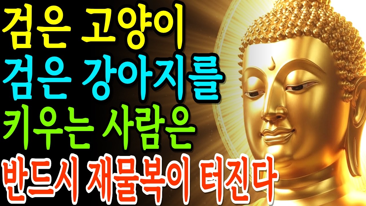 집에 검은 고양이나 검은 강아지를 키우는 사람의 엄청난 업보 | 부처님말씀 | 석가모니명언 | 석가모니가르침 | 불교철학 |