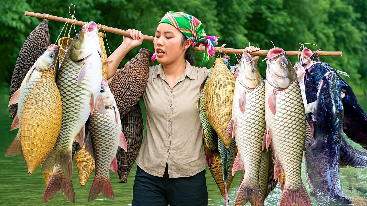 Catching giant catfish & loaches by hand & bamboo fish trap in the river to sell with my children